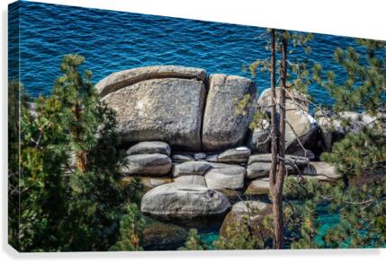 Scarab Rock Canvas Print