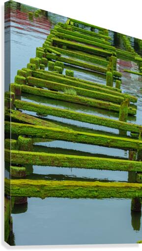 Green Rails Canvas Print