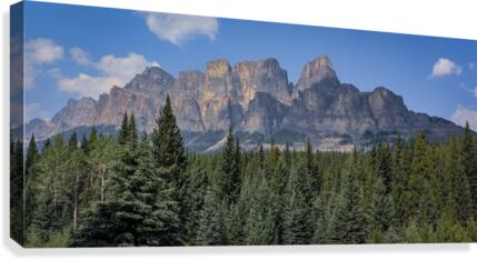 Canadian Rockies 3 Canvas Print