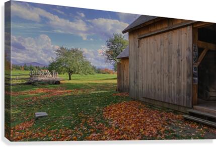 Work Shed Canvas Print