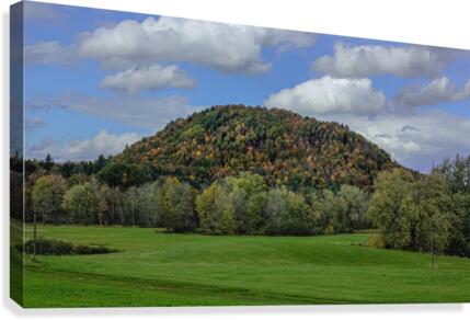Tree Covered Hill Canvas Print