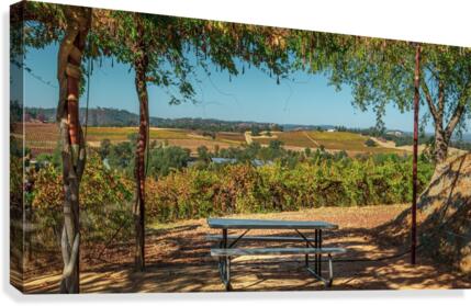Open Table Canvas Print