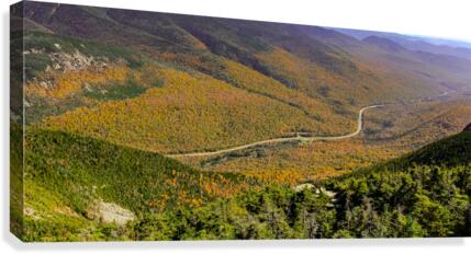 Golden Valley Canvas Print