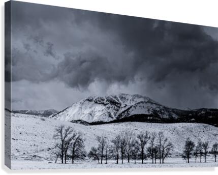 Winters shadow on Mt. Rose Canvas Print