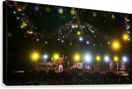 Chickenfoot Canvas Print
