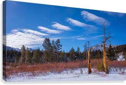 Interesting Clouds Canvas Print