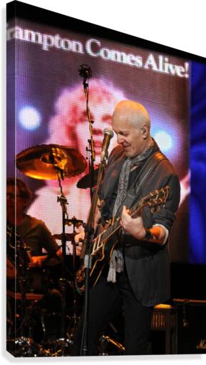Frampton Comes Alive Canvas Print