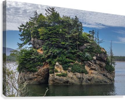 Oregon Coast 4  Canvas Print