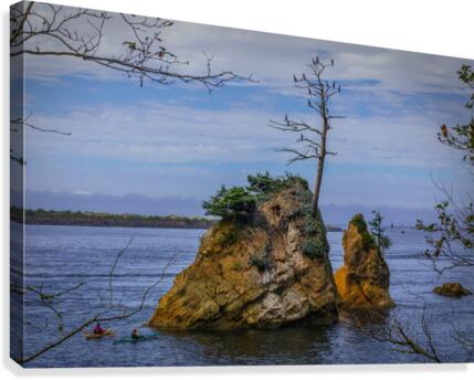 Oregon Coast 3  Canvas Print