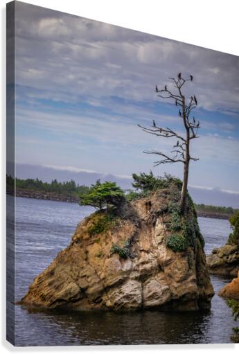 Oregon Coast 2  Canvas Print