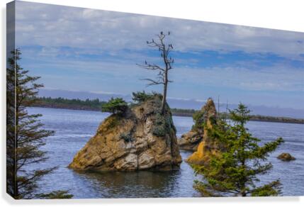 Oregon Coast 1  Canvas Print
