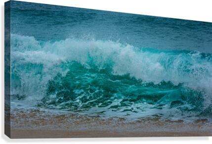 Wave underbelly Canvas Print