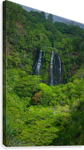 Multi Waterfall Canvas Print
