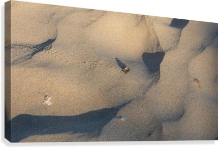 Out for a strole Canvas Print