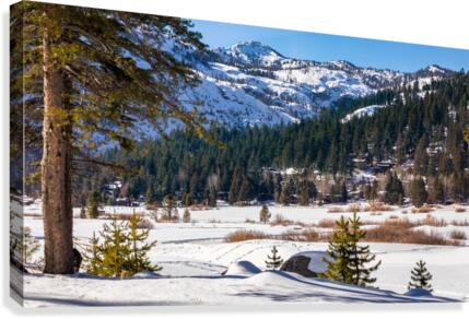 Squaw Valley   Canvas Print