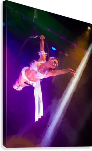 Cirque Le Noir Aerial Ring Close Oil Canvas Print