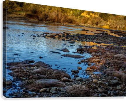Withered Rapids Canvas Print