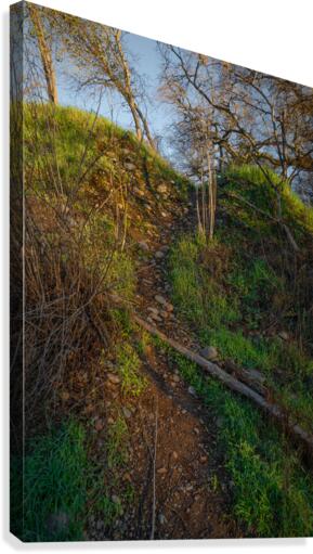 Over The Top Canvas Print