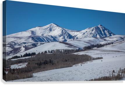 801A4666 Canvas Print