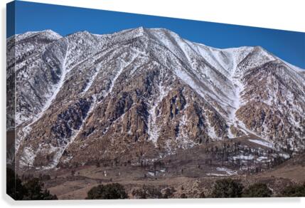 801A4706 Canvas Print
