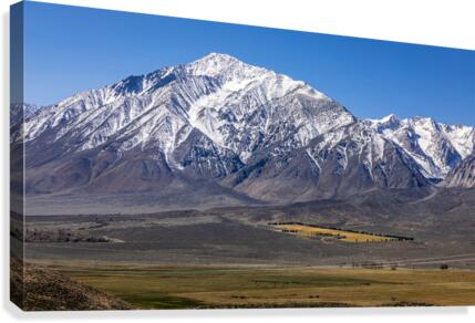 801A4721 Canvas Print