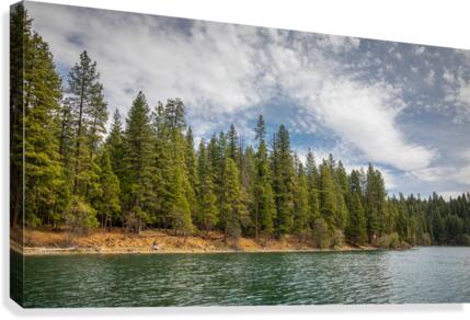 Trees of Lake Britton Canvas Print
