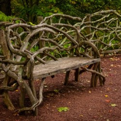 Twisted Bench