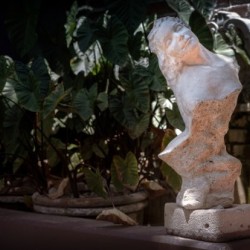 Bust at the Hotel California