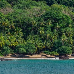 Costa Rica Beach w- more water