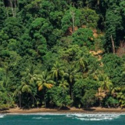 Costa Rica Beach Panorama 
