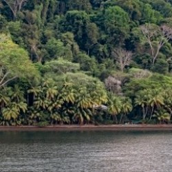 Beach Life - stylized oil paint finish