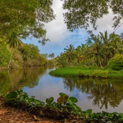 Pirates of The Caribbean Lagoon 
