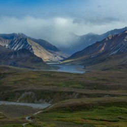 Alaskan Tundra
