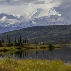 Denali Rising