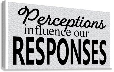 PERCEPTION Canvas Print