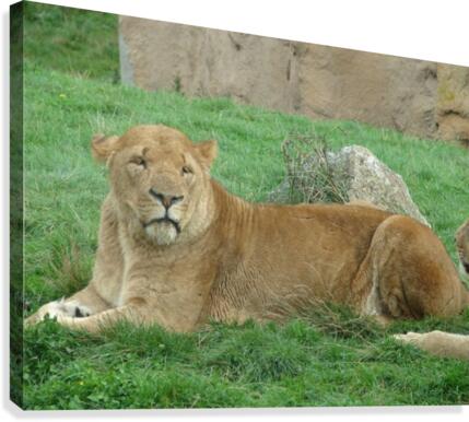 The Queen Canvas Print