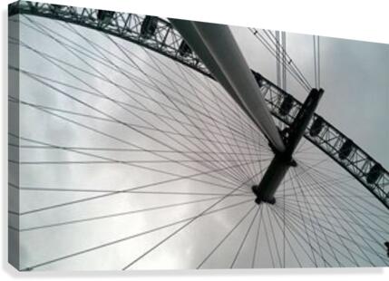 In the Eye Canvas Print