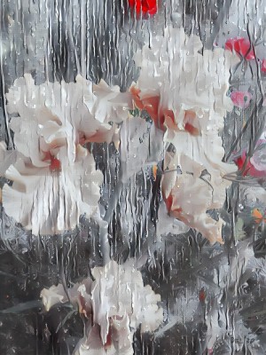 Bearded Iris  Impressionism