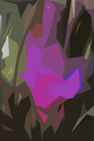 Pink Quill Tillandsia Air Plant