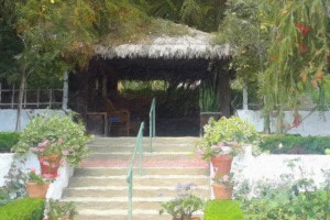 Thatch Roof Gazebo Rancho Los Alamitos Gardens