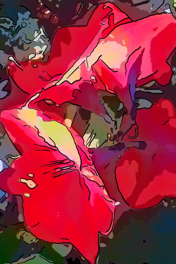 Oh my Amaryllis II Print