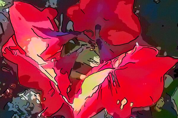 Oh My Amaryllis Print