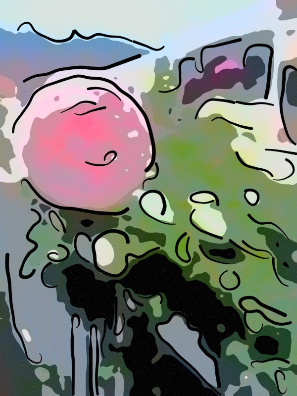 Pink Rose Garden on Braddock Drive Print