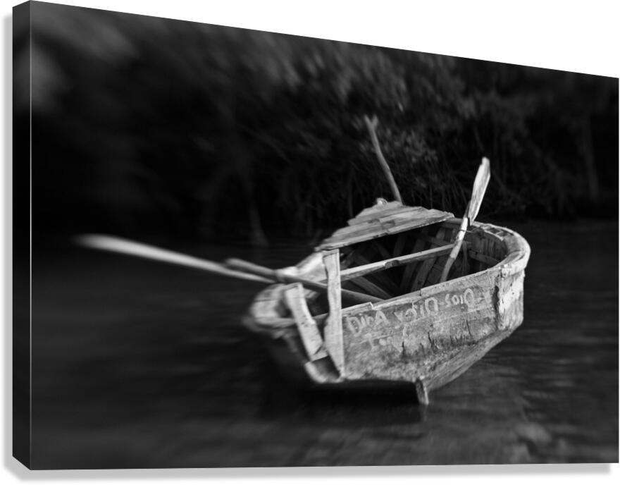 loneSailor Canvas Print
