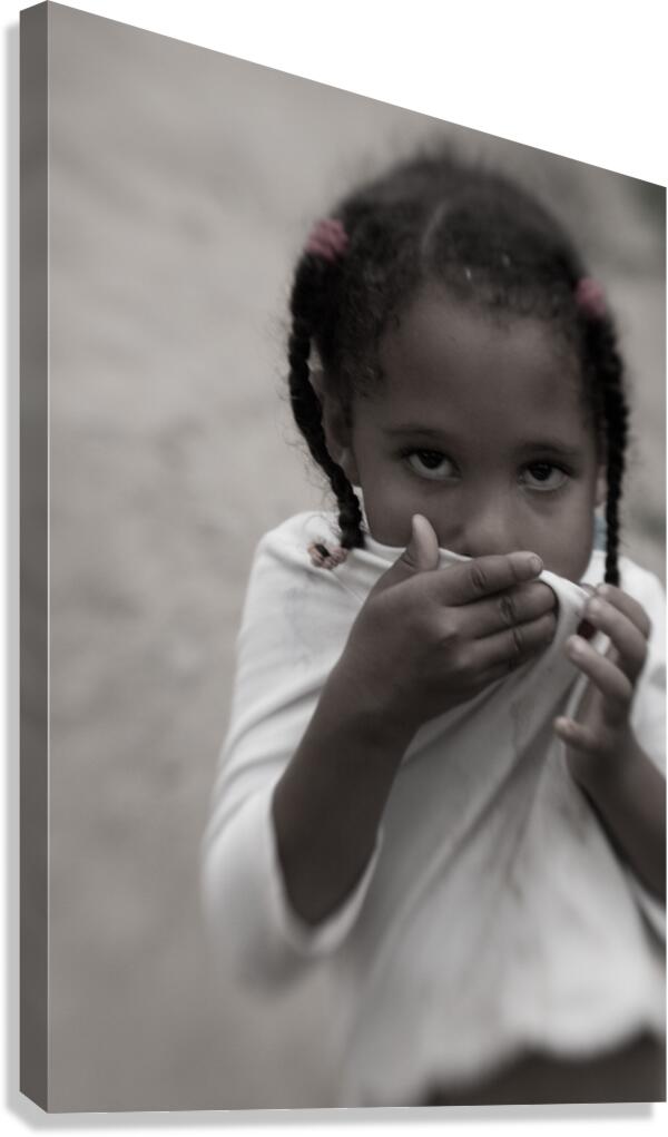 queNina Canvas Print