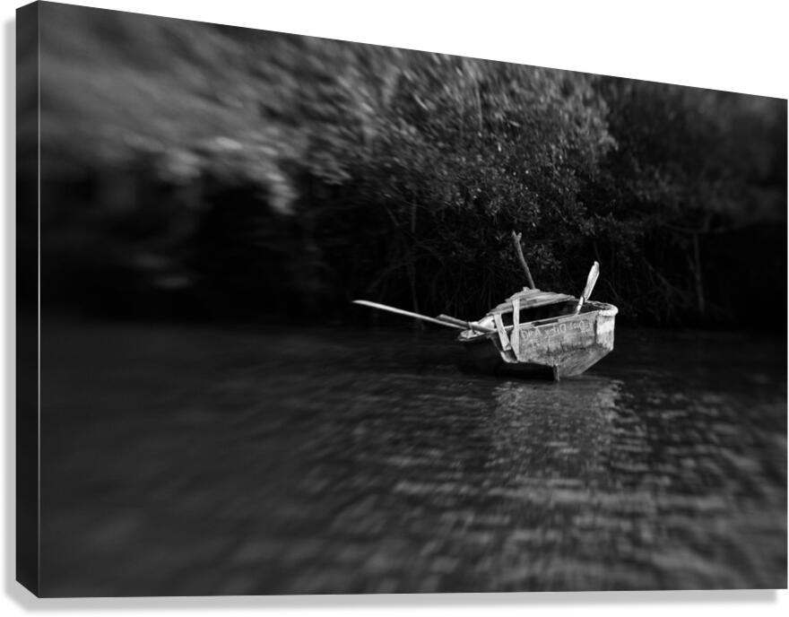 loneSailor 2 Canvas Print