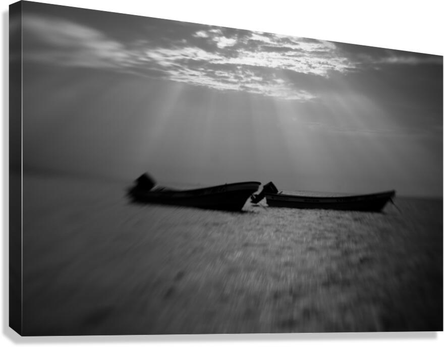 theShinning Canvas Print