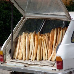 Breadrunner