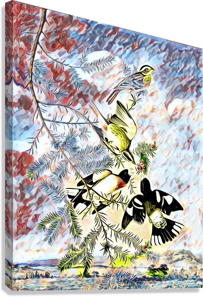 Rose Breasted Grosbeak c.1830 dig imp2 Canvas Print