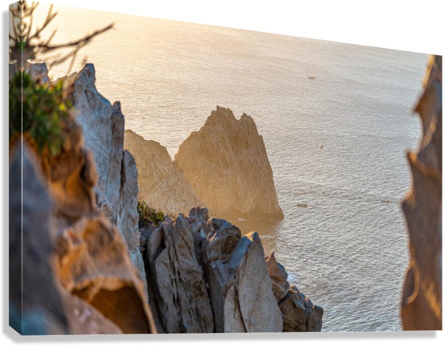 DSC02928 Canvas Print